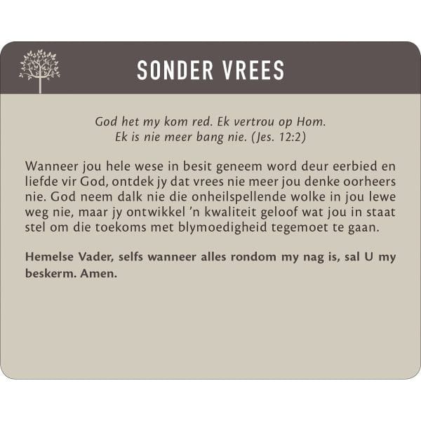Geanker In Die Woord Afrikaans Prayer Cards In Tin - Image 19