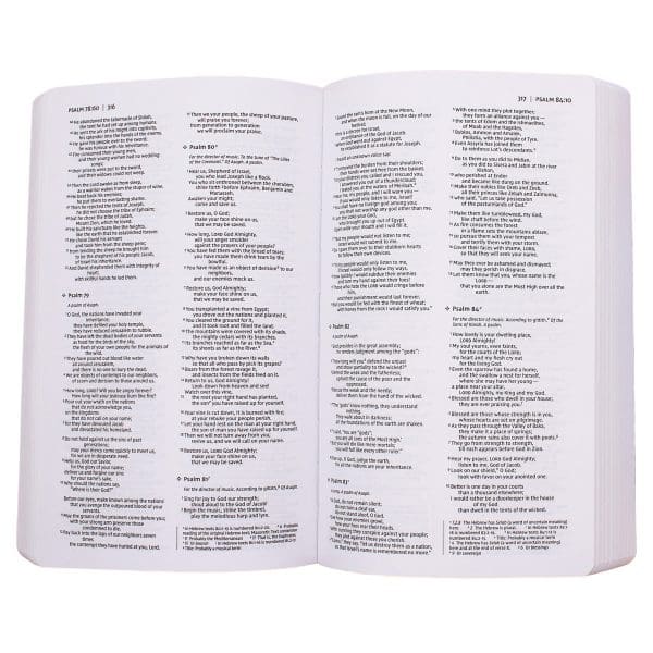 NIV Holy Bible For Boys Comfort Print Gray (Imitation Leather) - Image 12