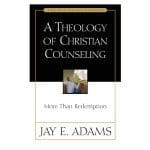A Theology Of Christian Counseling (Paperback) - Image 3