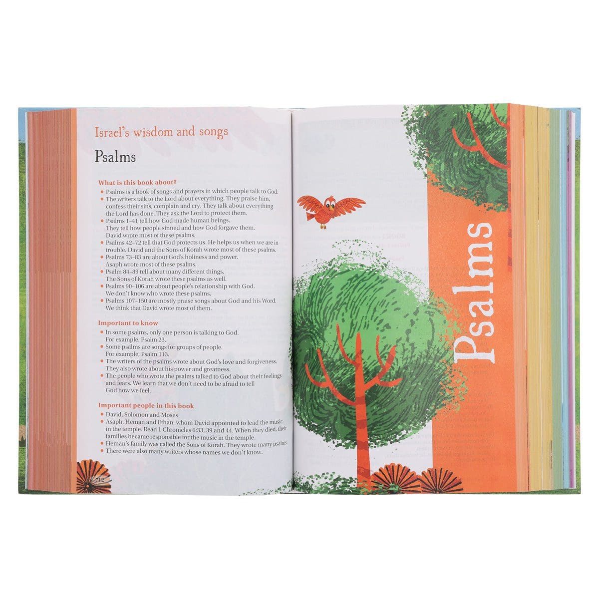 9780310763536_feature3 NIRV Hardcover Seek and Explore Holy Bible - Image 5