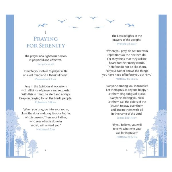 The Serenity Prayer Promise Book (Paperback) - Image 15