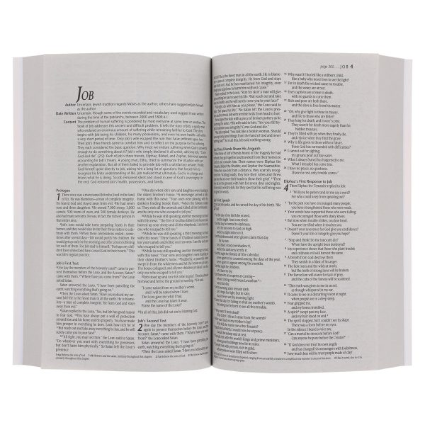 NLT Ocean Paperback Outreach Bible - Image 4