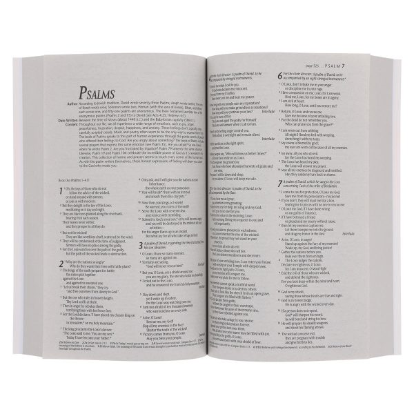 NLT Ocean Paperback Outreach Bible - Image 5