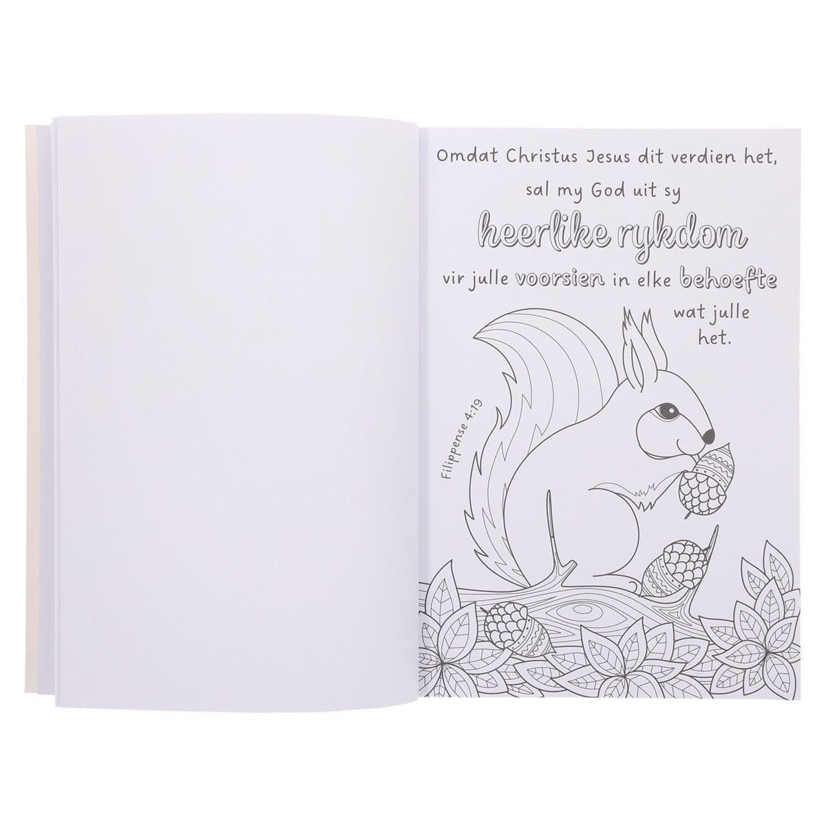 9780638009460_feature3 My Gunsteling Bybelverse Inkleurboek vir Dogters (Sagteband) - Image 21