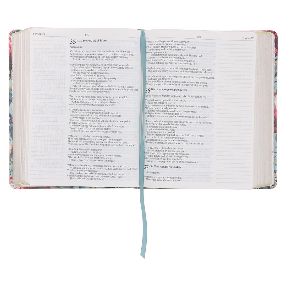 9780638009613_feature2 NLV Proteas Kunsleer My Kreatiewe Joernaal-Bybel - Image 13