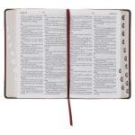 Afrikaans 1933/1953 Vertaling Bruin Kunsleer Bybel - Image 6