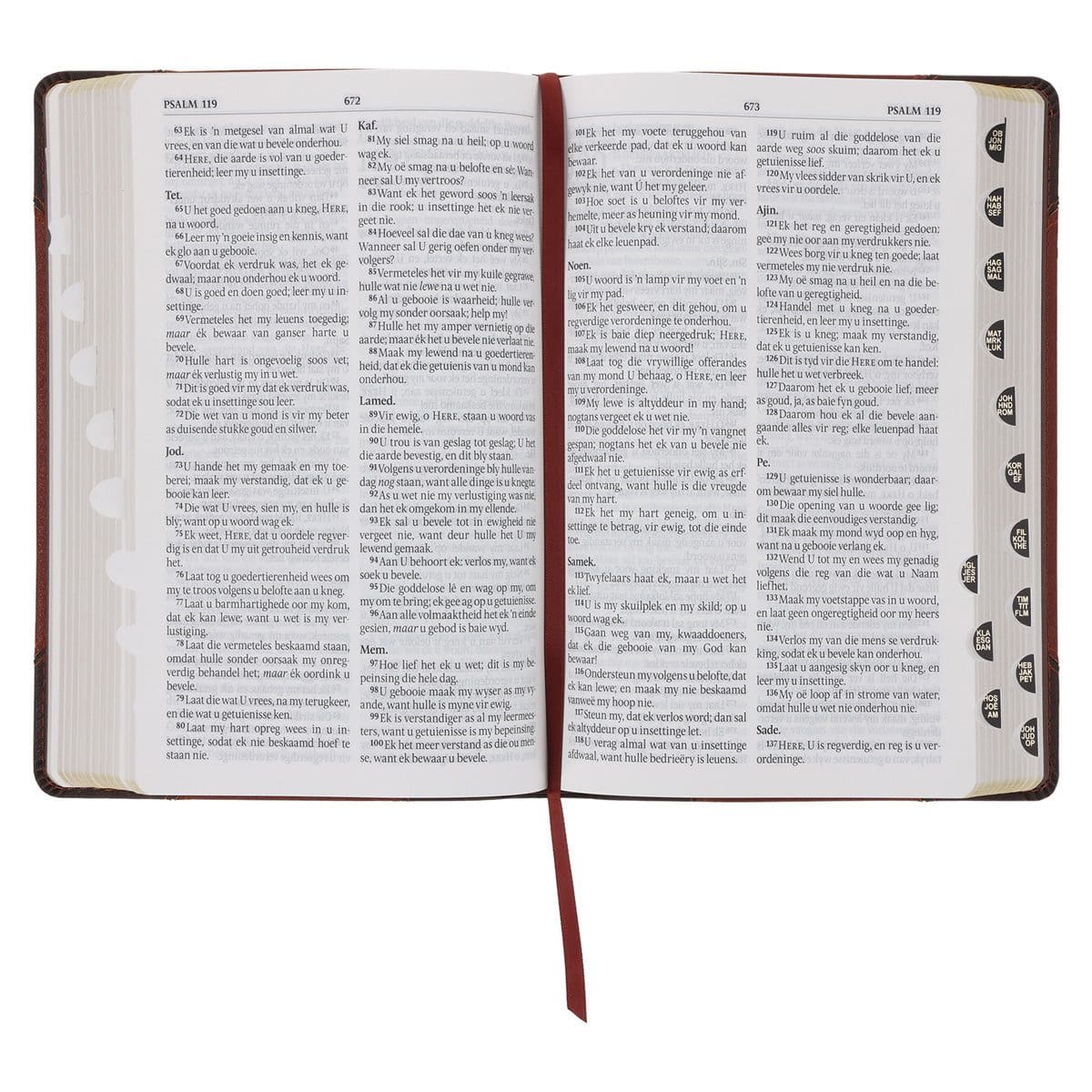 9780638009903_feature4 Afrikaans 1933/1953 Vertaling Bruin Kunsleer Bybel - Image 6