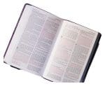 NKJV Deluxe Gift Bible Red Letter Gray (Comfort Print)(Imitation Leather) - Image 13