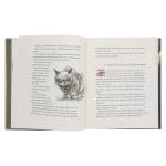 Little Pilgrim's Progress (Illustrated Edition): From John Bunyan's Classic (Hardcover) - Image 6