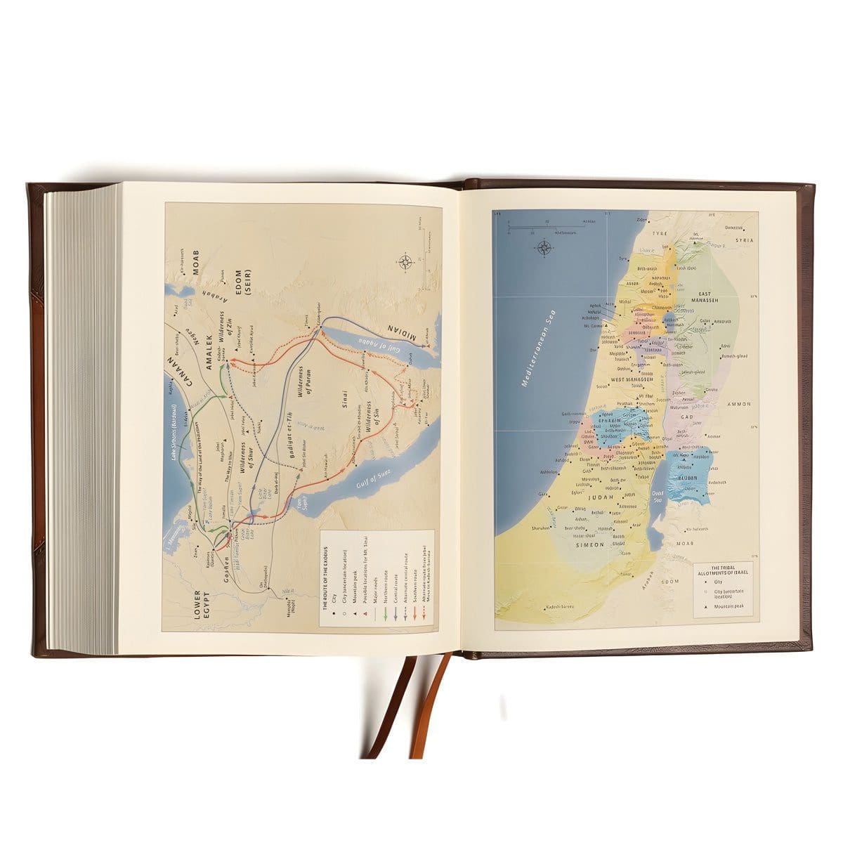 9781087785509_feature2 CSB Brown and Tan Imitation Leather Notetaking Bible Large Print - Image 3