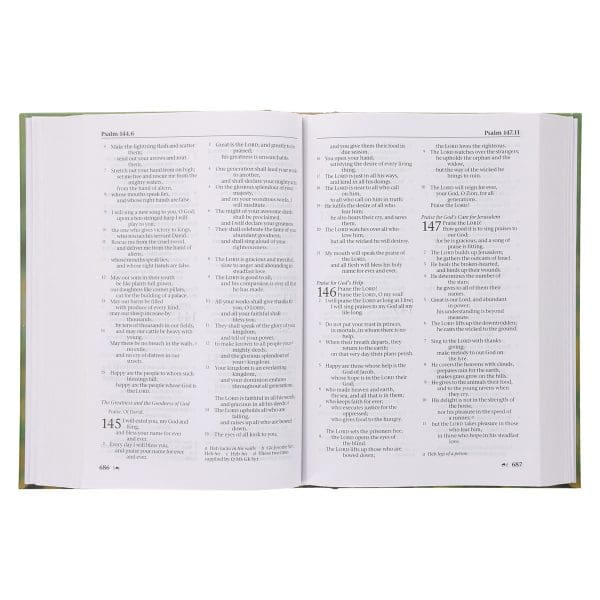 NRSV Bird of Paradise Hardcover Catholic Edition Holy Bible Global Cover Series - Image 26