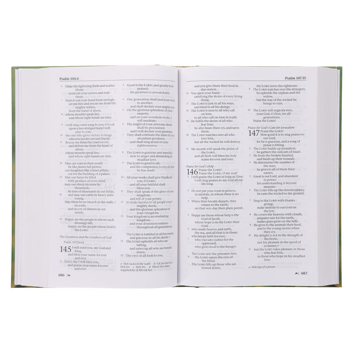 9781400337163_feature4 NRSV Bird of Paradise Hardcover Catholic Edition Holy Bible Global Cover Series - Image 26
