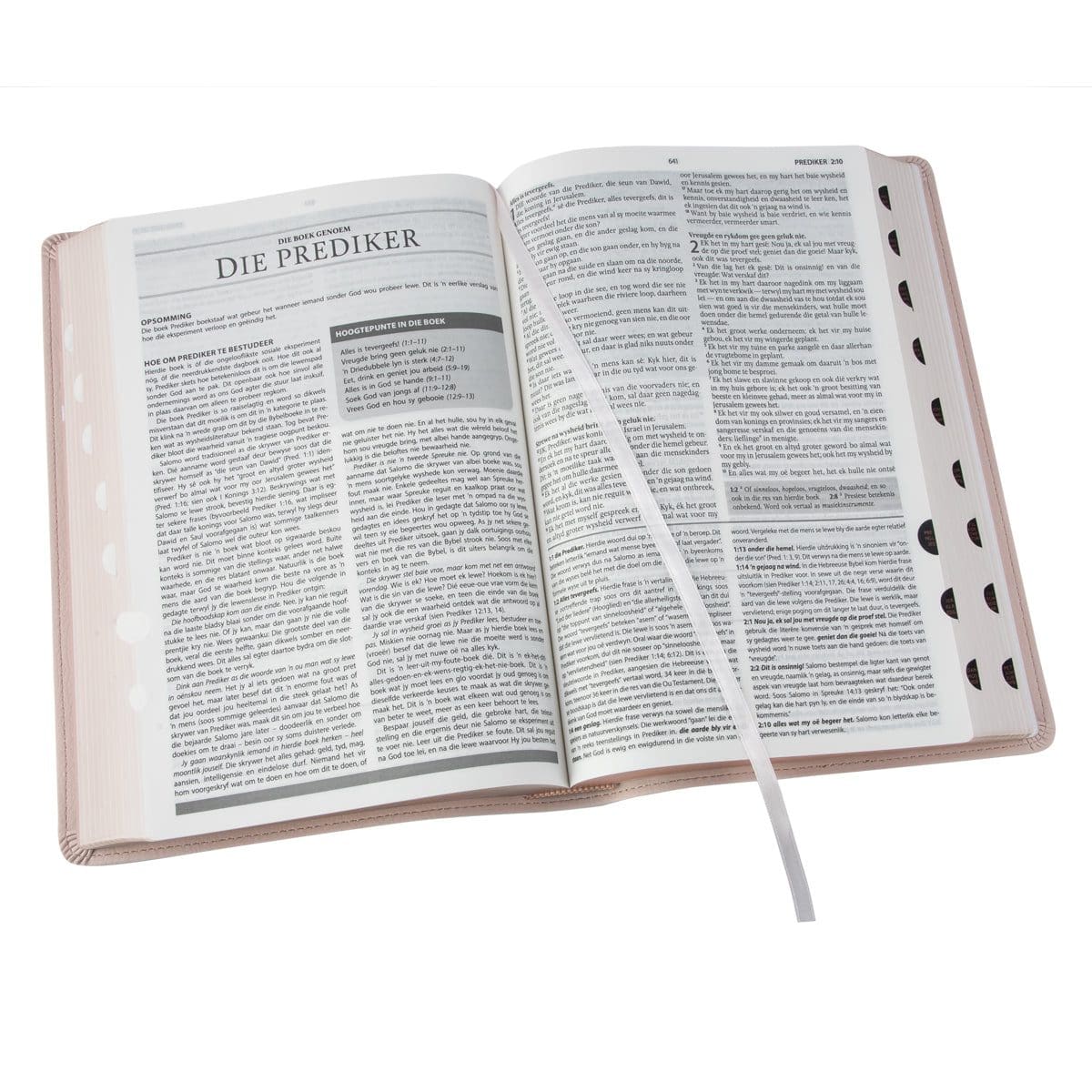 9781415342053_feature3 Afrikaans 1933/1953 Vertaling Ligroos Kunsleer Verklarende Studiebybel - Image 24