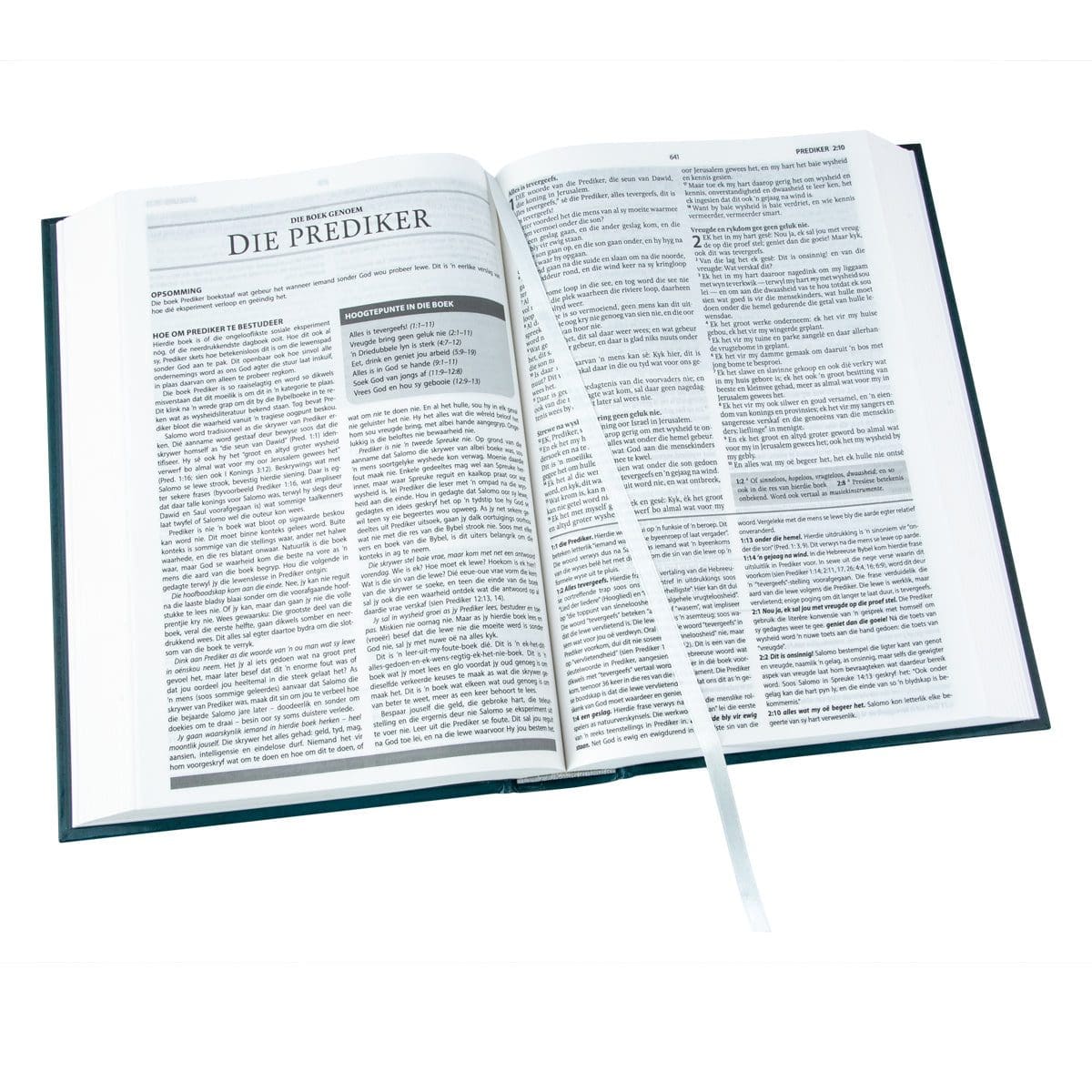 9781415342060_feature3 Afrikaans 1933/1953 Vertaling Groen Hardeband Verklarende Studiebybel - Image 19