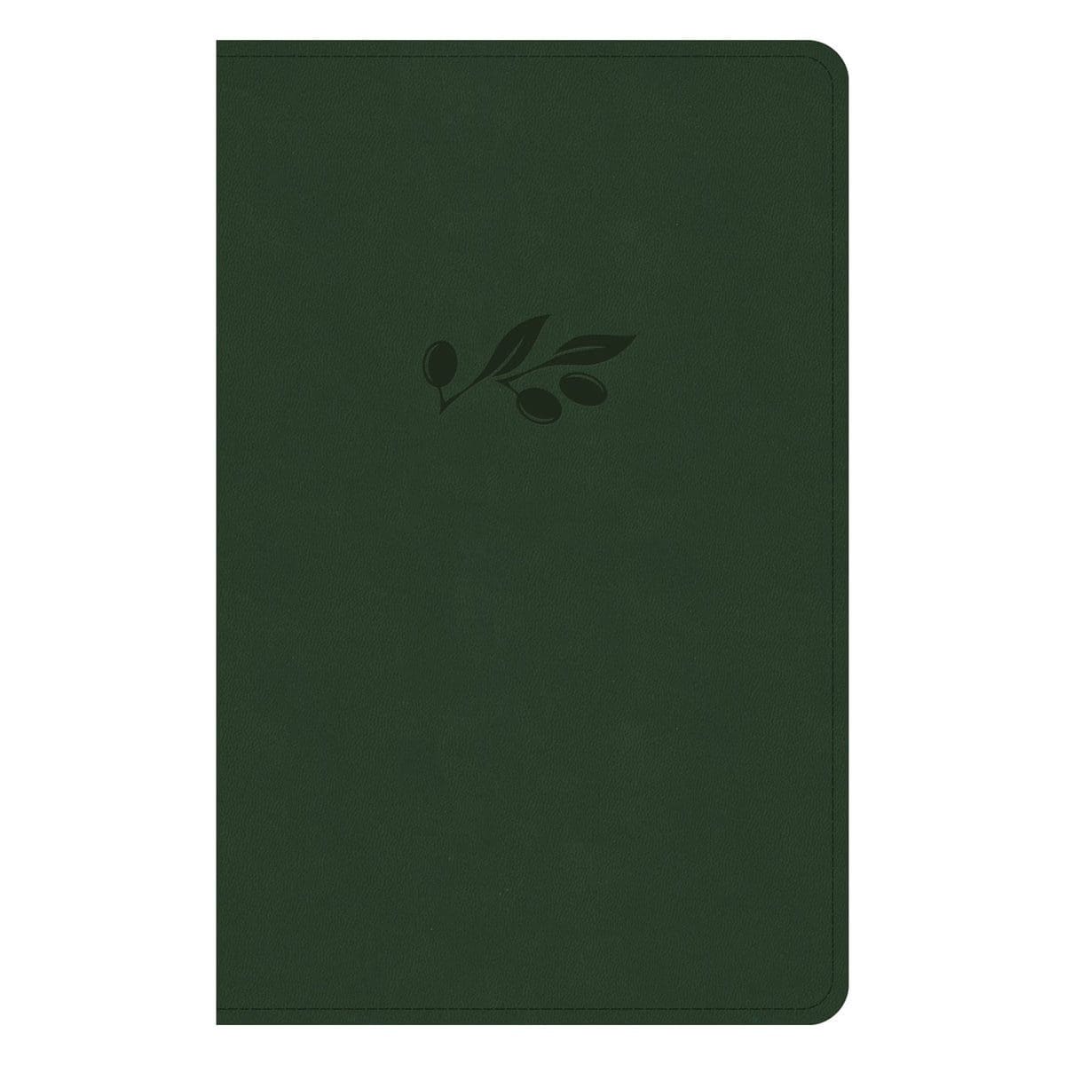 9781430094814_front NASB Olive Imitation Leather Personal Size Bible - Image 3