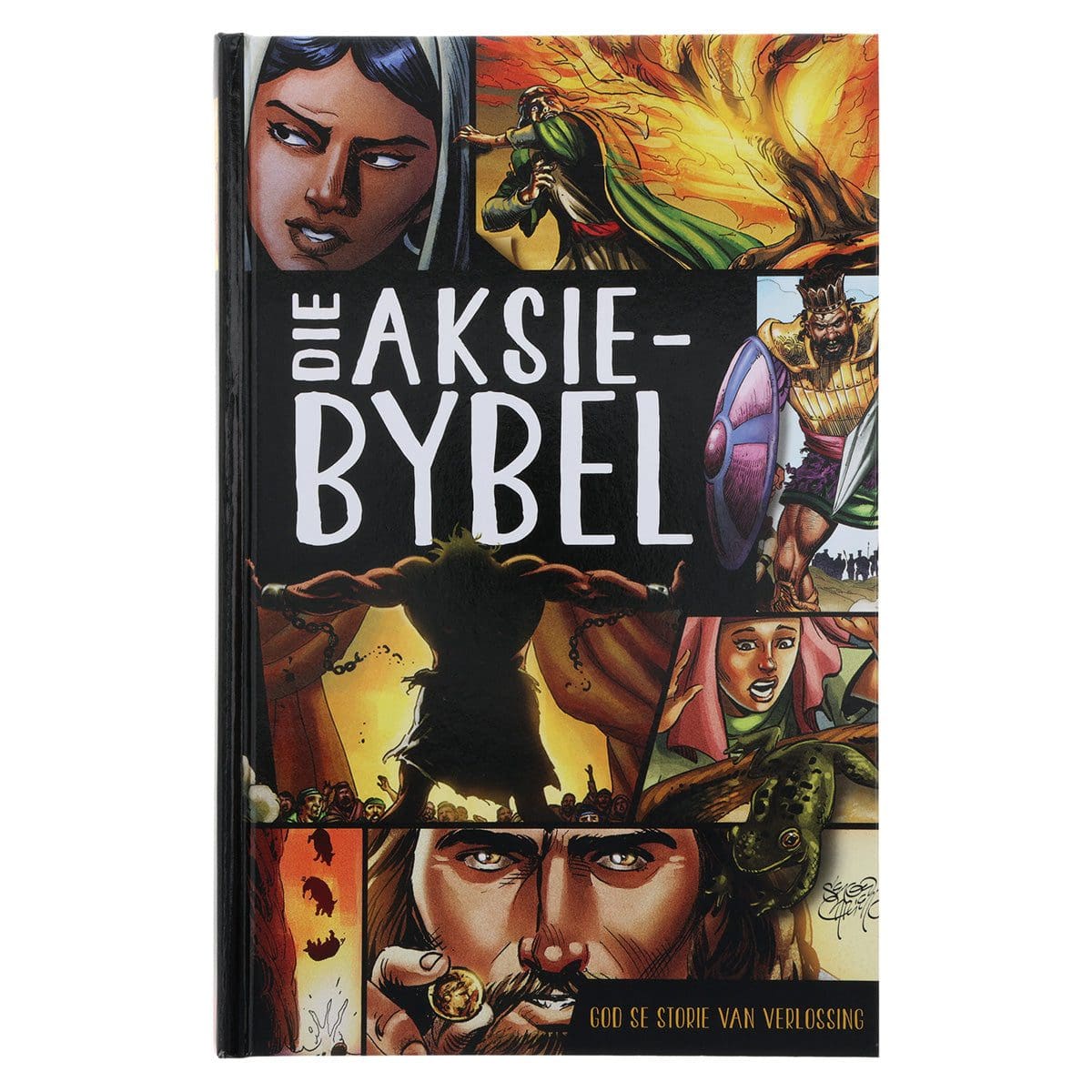 9781431615995_front Die Aksie-Bybel (Hardeband) - Image 16