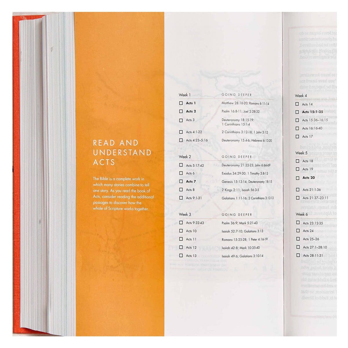 9781433648212_feature1 CSB She Reads Truth Bible Poppy Linen (Hardcover) - Image 5