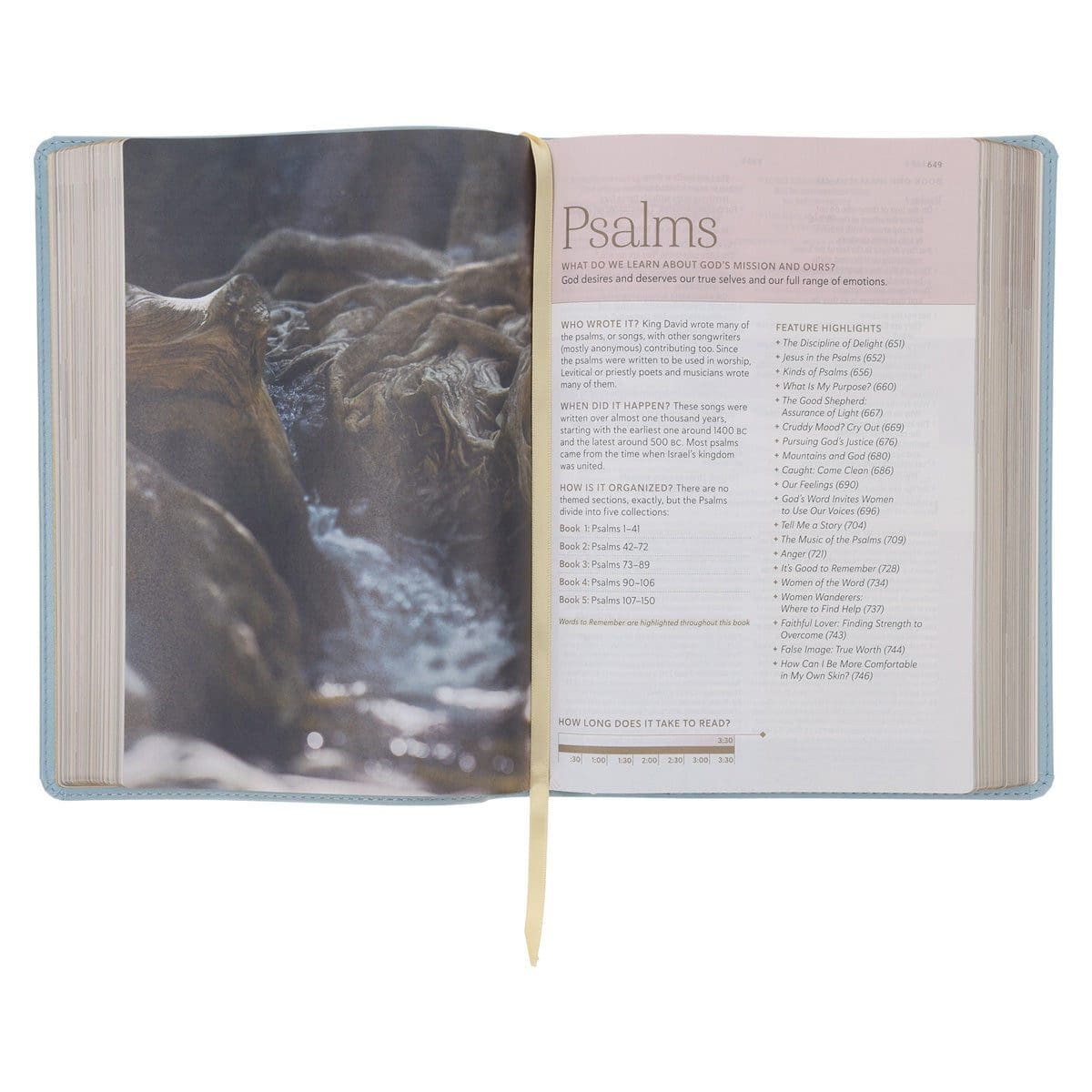 9781496484383_feature3 NLT Sky Blue Imitation Leather Filament Enabled Every Woman’s Bible - Image 11