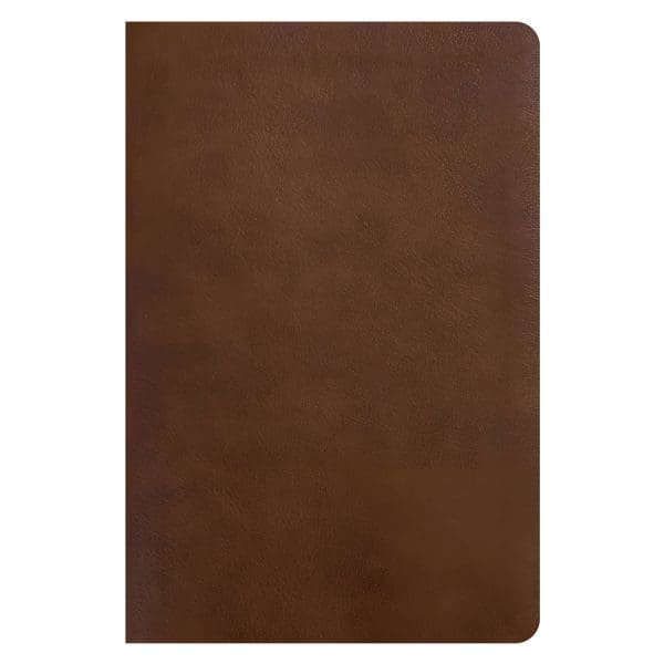 NLT Rustic Brown Imitation Leather One Year Chronological Study Bible - Image 11