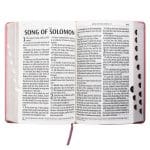 KJV Pink Faux Leather Bible Giant Print - Image 28