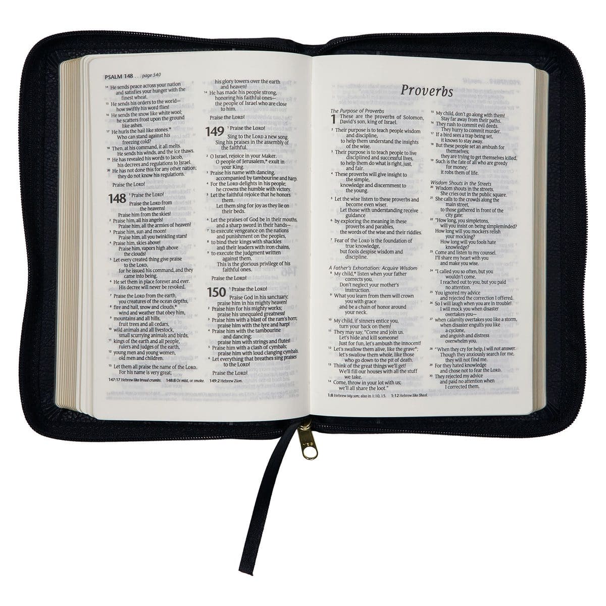 9781776370320_feature5 NLT Black Faux Leather Flexcover Compact Bible With Zip - Image 26