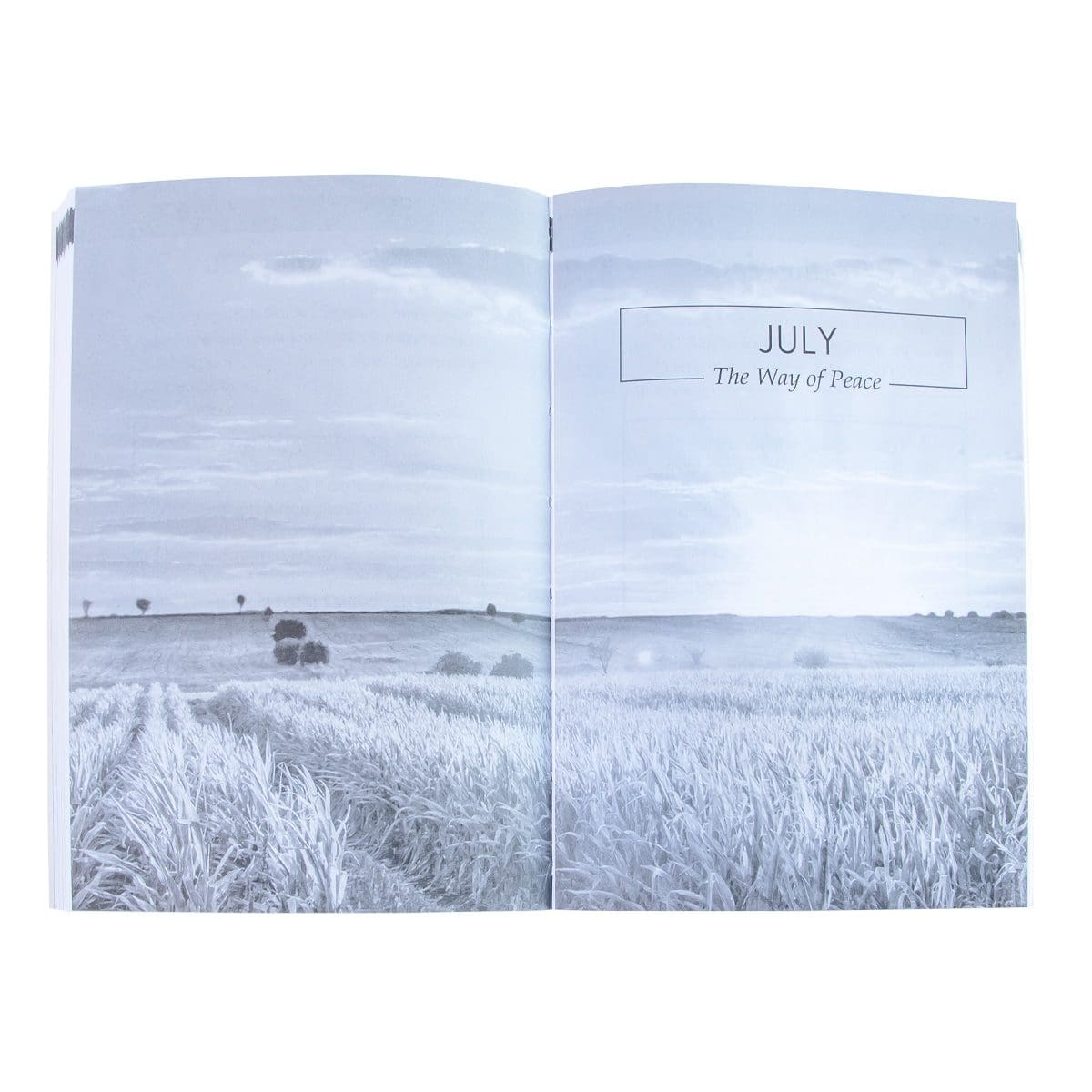 9781776371143_feature4 Pocket Prayers For Every Day (Paperback) - Image 26
