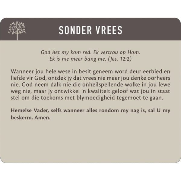 Geanker In Die Woord Afrikaans Prayer Cards In Tin - Image 24