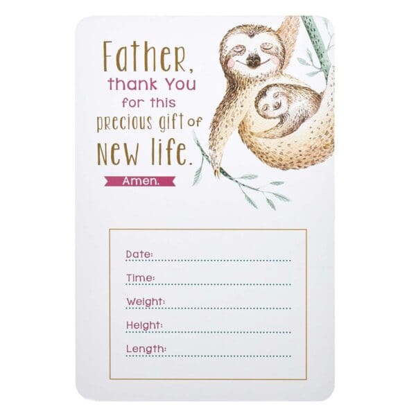 My Baby Girl's Milestones (Boxed Cards) - Image 23