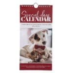 Plans to Prosper You Pets Design Special Days Calendar - Image 10