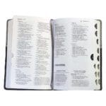 NIV Premium Gift Red Letter Indexed Black / Gray (Comfort Print)(Imitation Leather) - Image 18