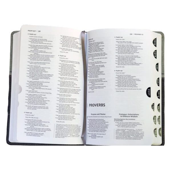 NIV Premium Gift Red Letter Indexed Black / Gray (Comfort Print)(Imitation Leather) - Image 18