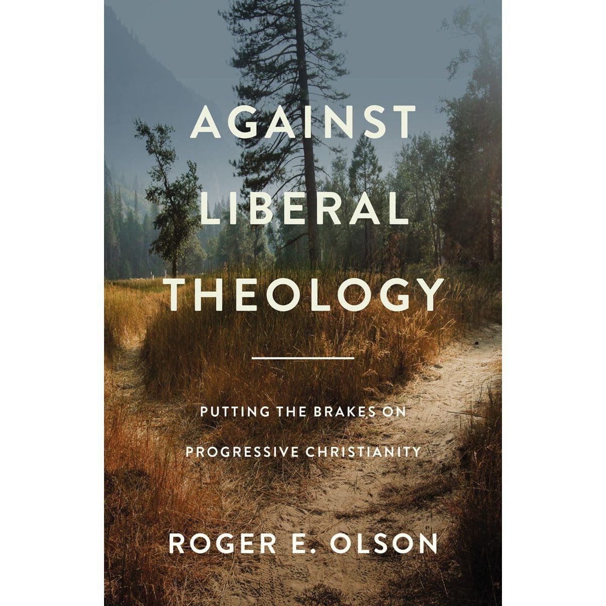 9780310139430_front Against Liberal Theology: Putting The Brakes On / Christianity (Paperback) - Image 4