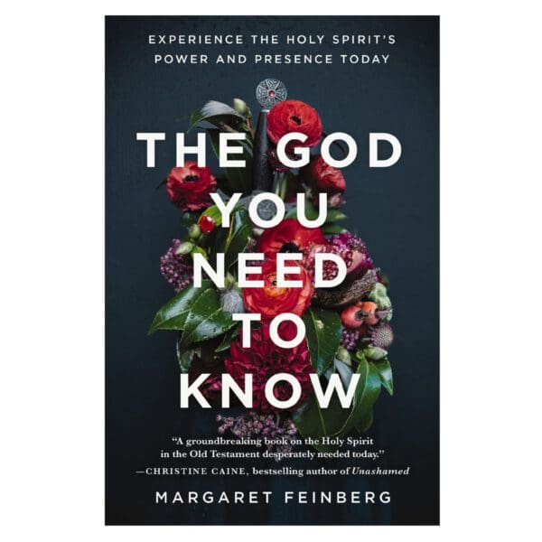 The God You Need to Know: Experience the Holy Spirit's Power & Presence Today PB - Image 1