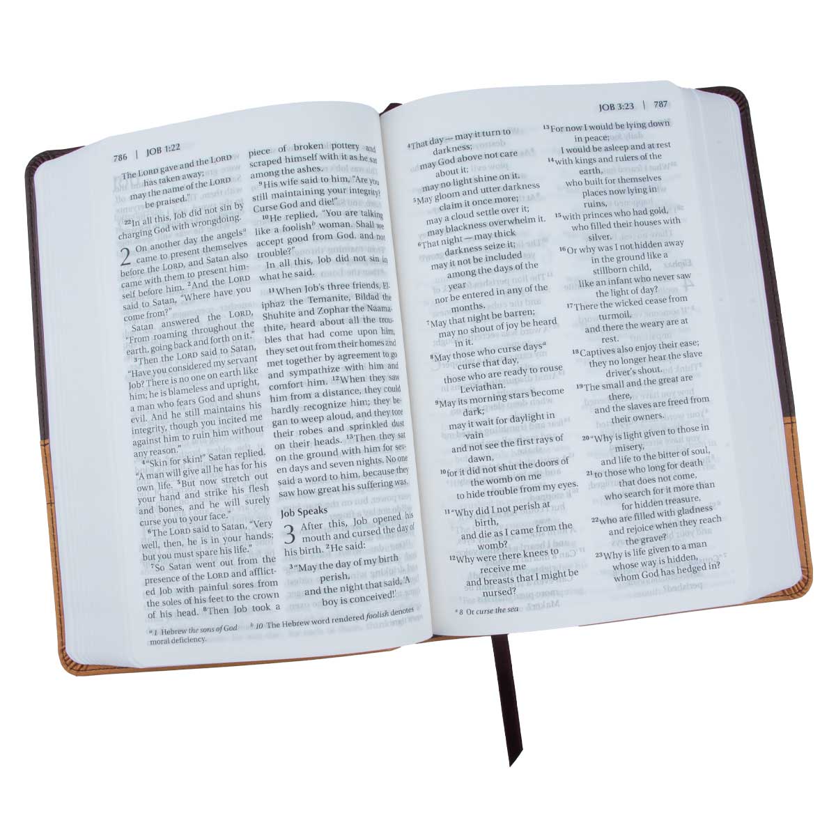 9780310429401_feature4 NIV Chocolate & Amber Two Tone Faux Leather Holy Bible Larger Print - Image 29