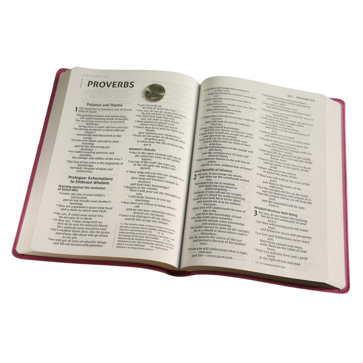 9780310448563_feature4 NIV Value Thinline Bible Large Print Pink (Comfort Print)(Imitation Leather) - Image 12