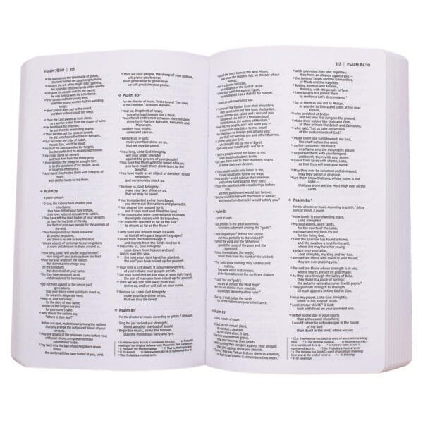 NIV Holy Bible For Boys Comfort Print Gray (Imitation Leather) - Image 15