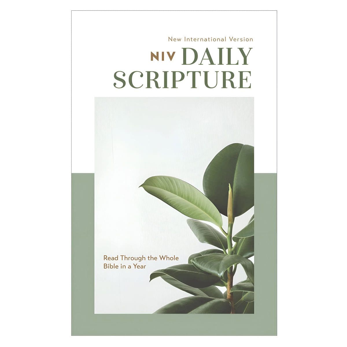 9780310462200_front NIV White and Sage Paperback Daily Scripture One Year Bible Comfort Print - Image 9