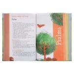 NIRV Hardcover Seek and Explore Holy Bible - Image 12