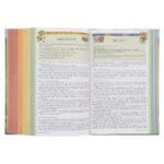 NIRV Hardcover Seek and Explore Holy Bible - Image 14