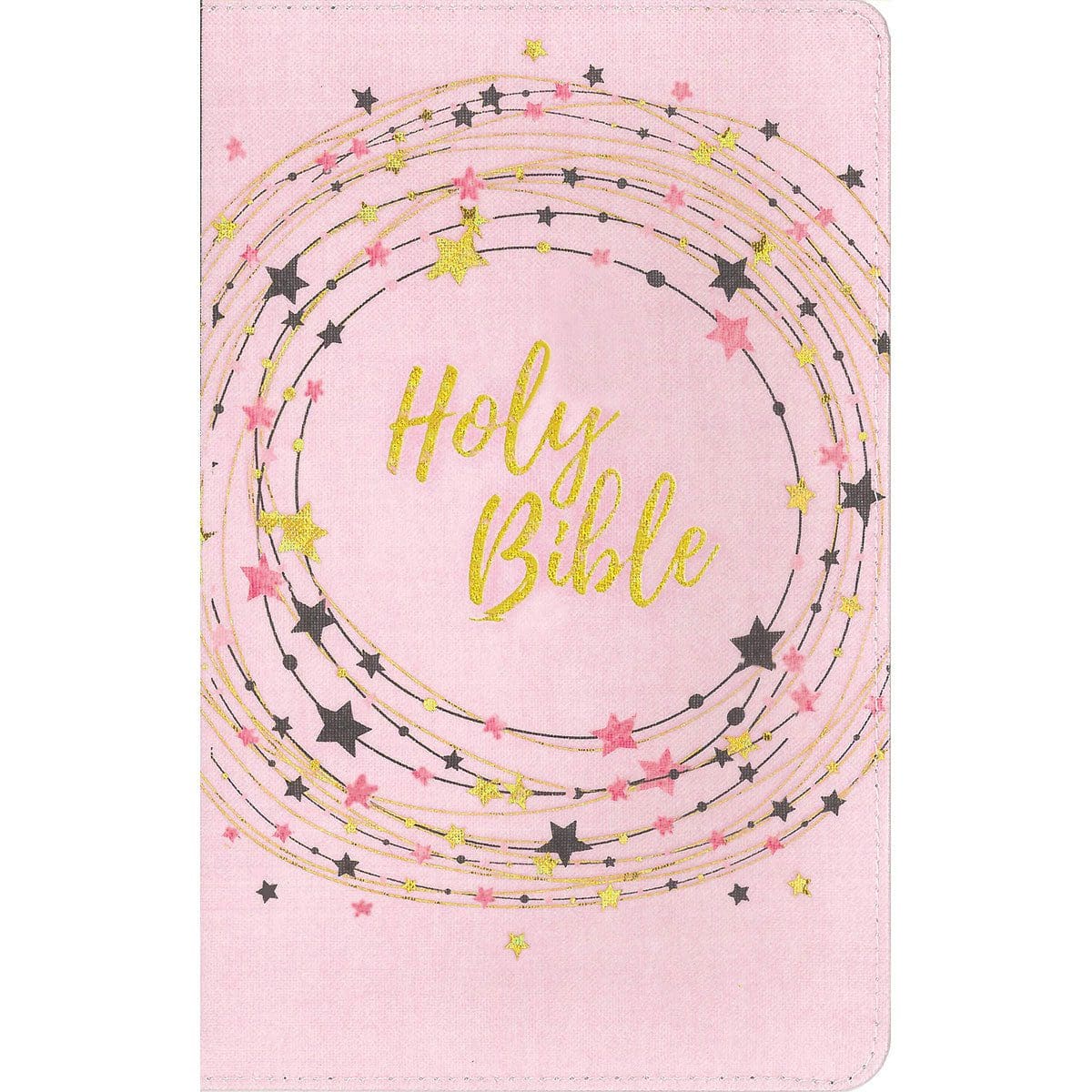 9780310764298_front NIV Bible For Kids Red Letter Edition Pink / Gold (Comfort Print)(Paperback) - Image 17