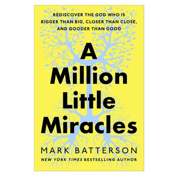 A Million Little Miracles: Rediscover the God Who Is Bigger than Big HC - Image 5