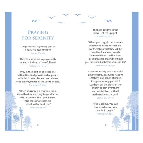 The Serenity Prayer Promise Book (Paperback) - Image 19