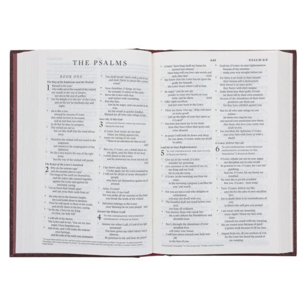 ESV Burgundy Hardcover Standard Bible - Image 9