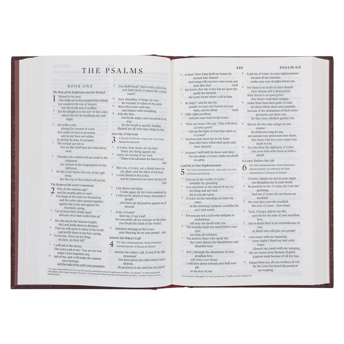 9780638002355_feature3 ESV Burgundy Hardcover Standard Bible - Image 9