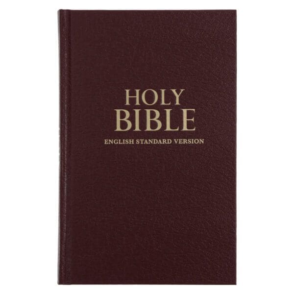 ESV Burgundy Hardcover Standard Bible - Image 5