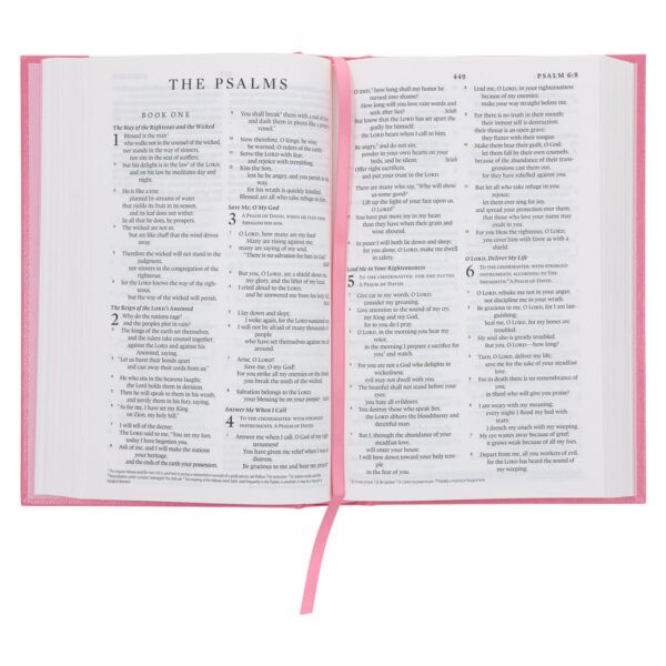 ESV Pink Hardcover Standard Bible - Image 6