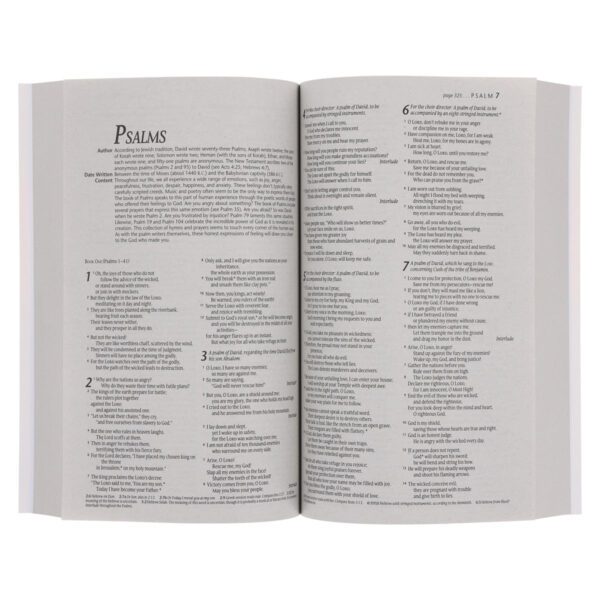 NLT Ocean Paperback Outreach Bible - Image 12