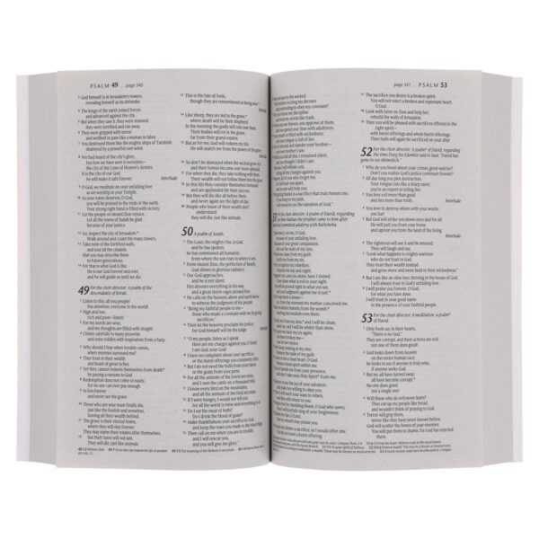 NLT Ocean Paperback Outreach Bible - Image 13