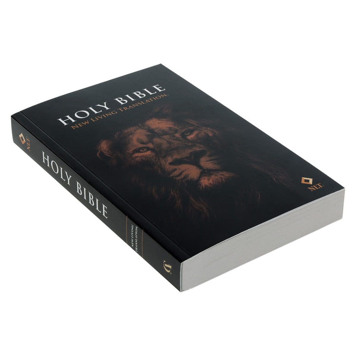 9780638003666_feature1 NLT Lion Paperback Outreach Bible - Image 4