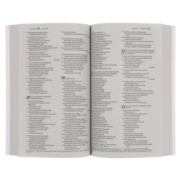 NLT Lion Paperback Outreach Bible - Image 6